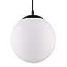 Light Society Zeno Globe Pendant, Frost White with Black Finish, Contemporary Mid Century Modern Style Lighting Fixture (LS-C175-BK-WH)