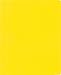 Lion 2-Pocket Plastic Folder with Fasteners, 1 Folder, Yellow (92310-YW)