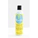 Blueberry Bliss Reparative Hair Wash