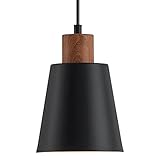 FookChak Metal Black Pendant Light Farmhouse Mini