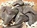 1 Megalodon Fossilized Shark Tooth