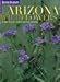 Arizona Wildflowers: A Year-Round Guide to Nature's Blooms (Arizona Highways: Travel Arizona Collection) by 