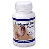 SAMeLQ 100 Chewable Tablets 60 ct