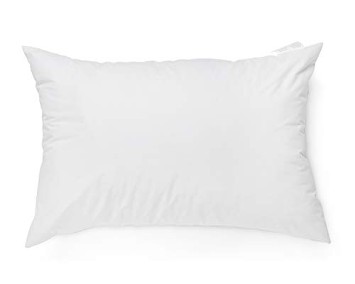 Ex Dreams 250 Thread 1 Queen Ez Dreams Gusseted Zippered Pillow