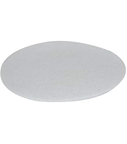 Bissell Primary Filter For Garage Pro Wet Dry Canister Vac – 2030166 Replacement