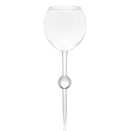 trending amazon items related to Home & Kitchen list of amazon products that are Champagne Glasses, under $20, cool items