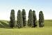 Bachmann Trains inches 4 inches Cedar Trees 9 Per Box