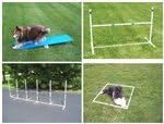 Agility Gear Starter Package with Teeter Teacher &amp; Fixed Weave Poles