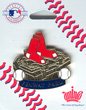 Boston Red Sox Fenway Park Pin