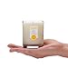DANI Naturals Scented Soy Candle – Kosher, Eco Friendly and Non Toxic – Grapefruit Ginger Scented – 7.5 Ouncesthumb 1