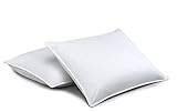 Standard Textile Chamberloft Down Pillow, Set of