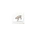 Tynies Animals Snow - Polar Bear Colors May Vary Glass Figure