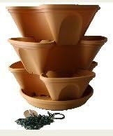 The Vertical Garden The Vertical Garden