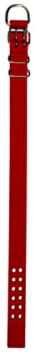 Pitbull Collar, Dog Collar for Large Dogs, Heavy Duty Nylon, Stainless Steel Hardware (XL, Fire Engine Red)