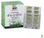 Good Product New Abhabibhubejhr Andrographis Paniculata (Fah-talai-jone) Blister Pack 60 Capsules. Treatment of Diarrhea, Fever...