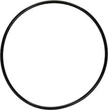 Hozelock / Cyprio Tank O Ring for Bioforce 2000
