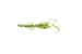 Zoom Bait Baby Brush Hog Bait-Pack of 12 (Watermelon Seed, 5 1/2-Inch)