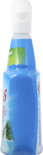GLASS PLUS GLASS CLEANER, 32 FL OZ BOTTLE, MULTI-SURFACE GLASS CLEANER