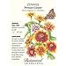 Botanical Interest - Zinnia Persian Carpet