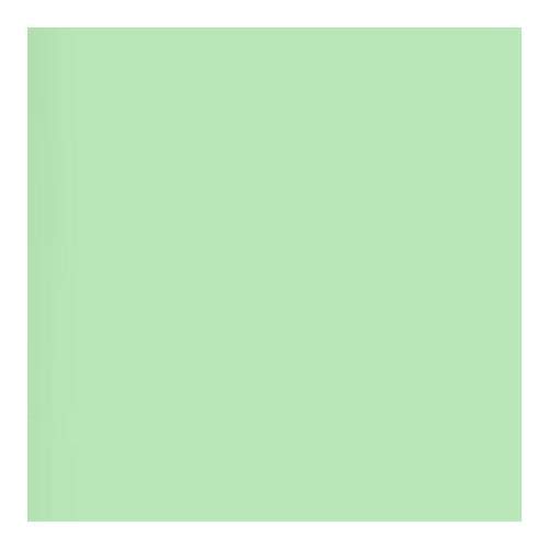 Lee Filters Fluorescent 4300k 24x21