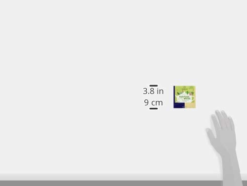 Sonnentor Barfuß durch die Wiese, Bio Kräutertee, Kannenbeutel (1 x 21,6 g) – Bild 4