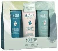 Scottish Fine Soaps Marine Spa Sea Kelp Travel Set Shampoo Body Wash Cream