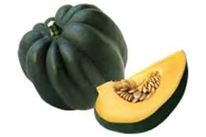 TROPICAL IMPORTERS Fresh Acorn Squash (2-3lb)