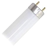Litetronics 28310 - L-340 F25 T8 741 Straight T8 Fluorescent Tube Light Bulb