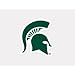 NCAA Michigan State University 52849012 Perfect Cut Color Decal, 4