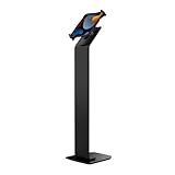 Locking Floor Stand – CTA Premium Locking Floor