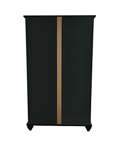 Kings Brand Furniture- Halswelle 2-Door Black Curio Bookcase Cabinet with Glass Doors
