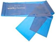 Leslie Sansone - Walk At Home Firm Band