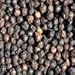 Indus Organics Malabar Black Peppercorns, 8 Oz Jar Grinder, Premium Grade, High Purity, Freshly Packed