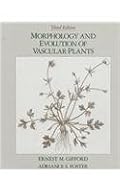 Morphology and Evolution of Vascular Plants (Series of Books in Biology)