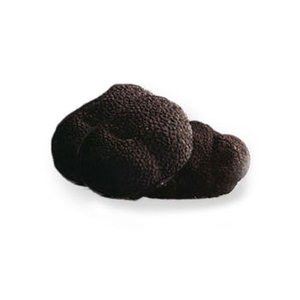 French Winter Perigord Black Truffles Whole Frozen 1.5 oz