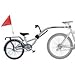 Morgan Cycle Shadow Aluminum Trailer Bike