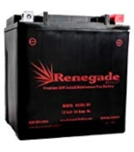 Amazon.com: Renegade RG30CL-BS 12 Volt 30 AH 500+ CCA