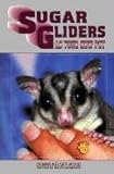 Sugar Glider as Your New Pet