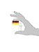 Beistle German Flag Picks