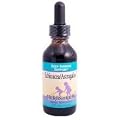 Herbs For Kids Echinacea Astragalus Liquid
