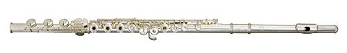 Trevor James Flute - Privilege, Offset G, Low B footjoint, Silver Lip & Riser - Special Upgrade