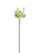 Bose SoundSport Wireless Headphones – Citronthumb 4