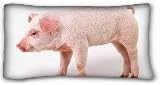 Custom ( Animal Pig Barbicue ) Pillowcase Standard Size 20"X36" Design Pillow Case Cover suitable for X-Long Twin-bed PC-Yellow-18556