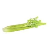 Green Artificial Celery