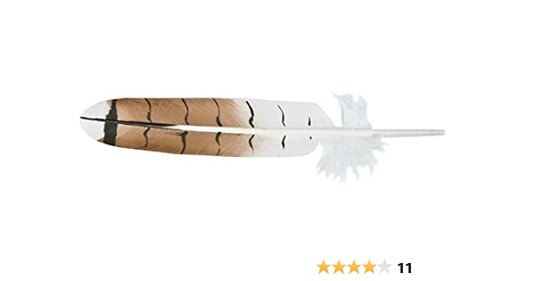 Amazon Com Red Tail Hawk Single Feather Imitation Arts Crafts Sewing