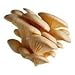 Hinterland Trading Oyster Mushroom 100+ Spore Coated Carrier Seeds Grow Your Own Fresh Gourmet Mushrooms by Hinterland Trading