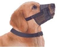 pup pie birthday cake