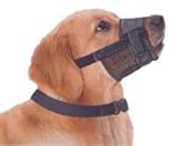 muzzle2