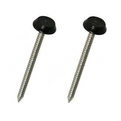 250 x UPVC 40mm Poly Top Pins Nails Plastic Headed Fascia Fixings (Black)