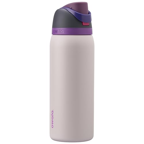 Owala FreeSip - Stainless Steel - 32-oz. - Grey/Purple (Dreamy Field) (Amazon)